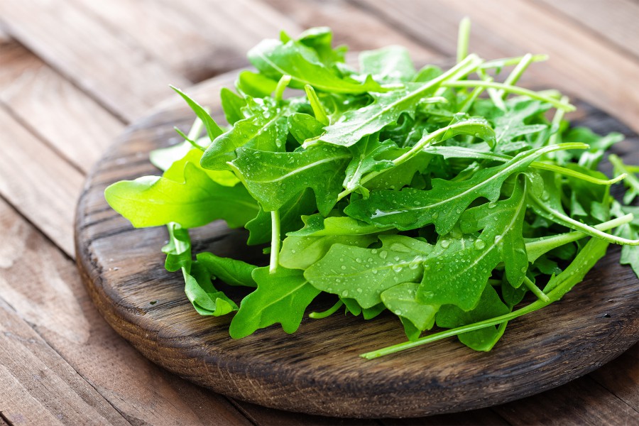 rucola bauer