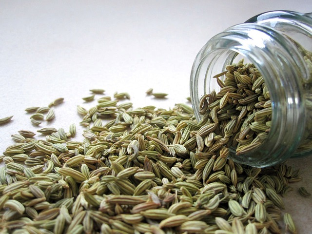 semi-finocchio-fuori-dal-barattolo