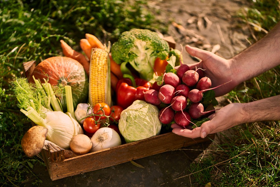 benefici biologico