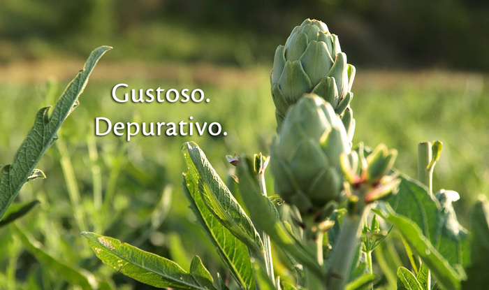 Carciofo: gustoso e depurativo!