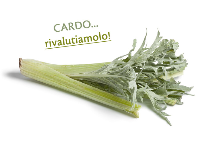 cardo-rivalutiamolo-cucina