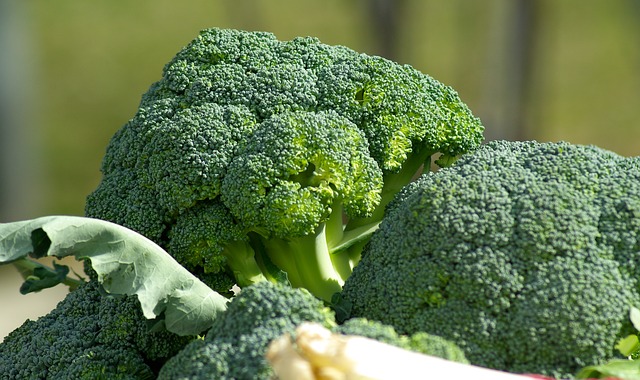 cavoli-broccolo