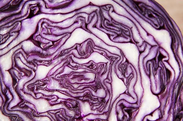 cavolo-viola