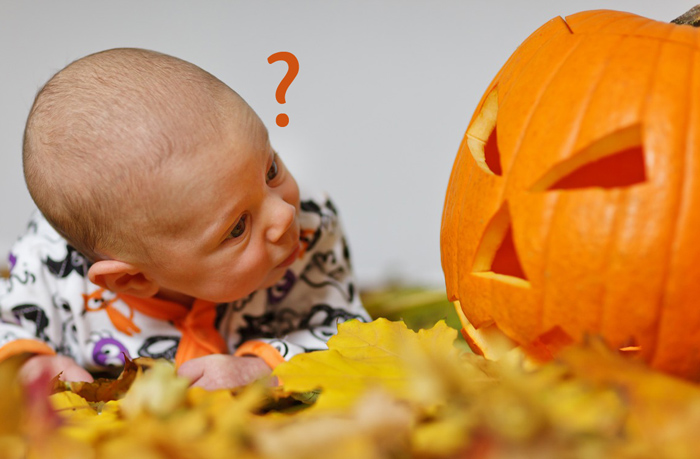 Come intagliare la zucca di Halloween e…mangiare la polpa!