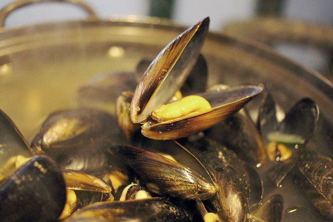 cozze