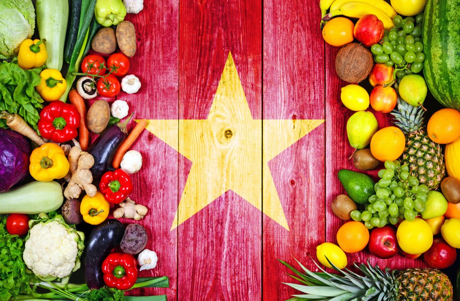 cucina vietnamita bauer