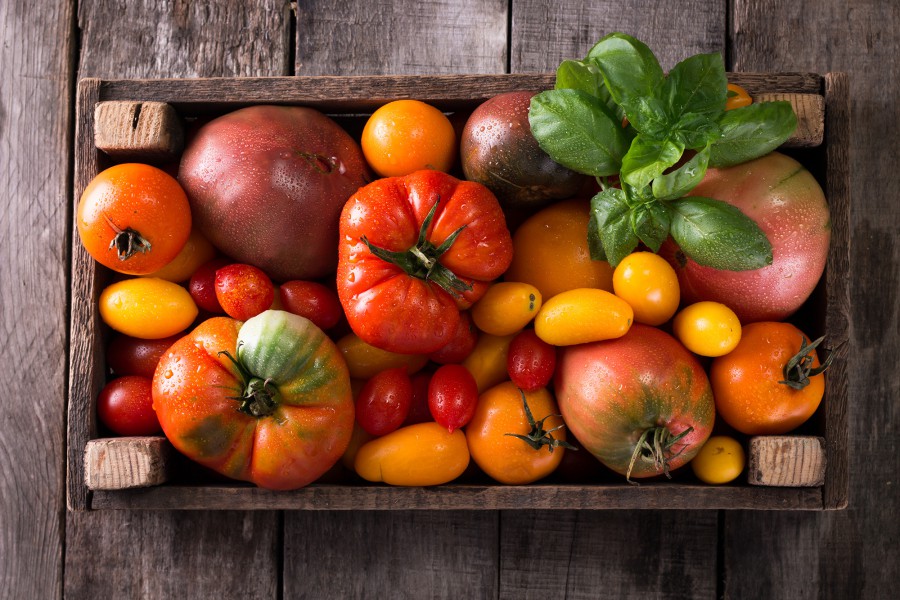 Sua maestà, il pomodoro