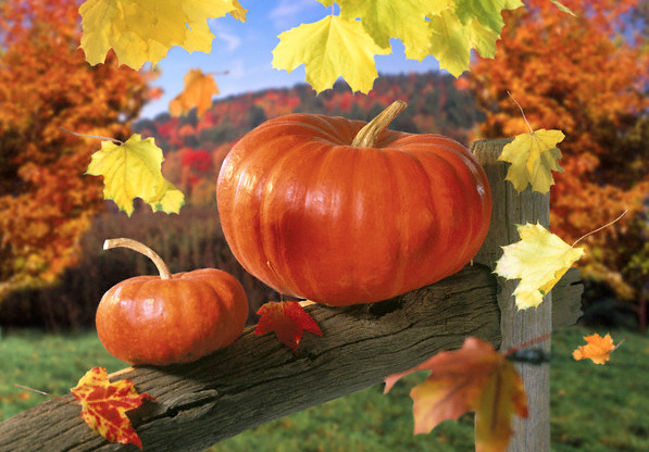 la zucca e foglie d'autunno